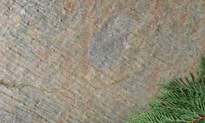 AirStone-Tokyo244x122cm200x100cm122x61cm
