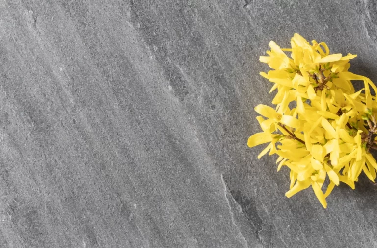 AirStone_Berlin_244x122_cm_200x100_cm_122x61_cm_webp